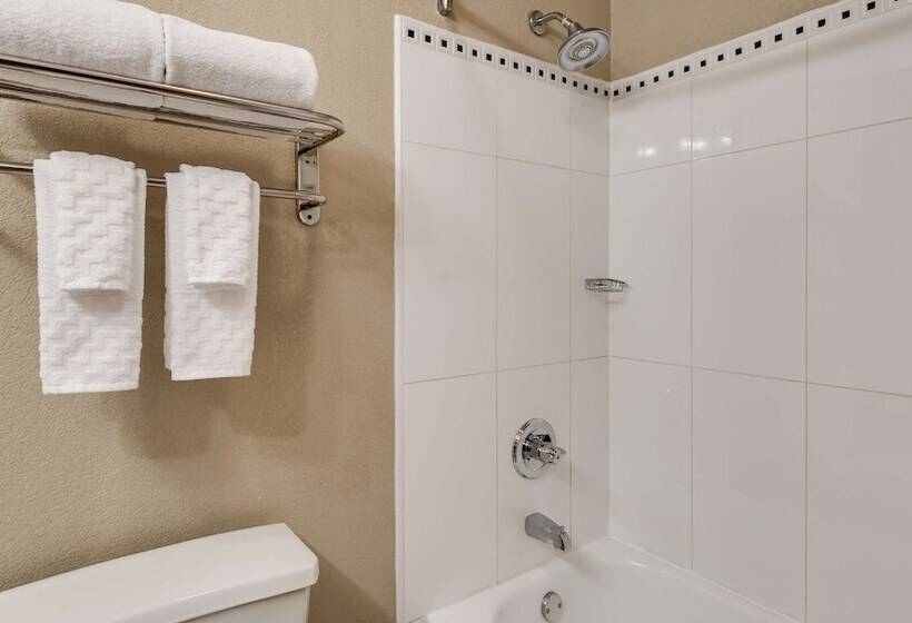 ホテル Best Western Gwinnett Center