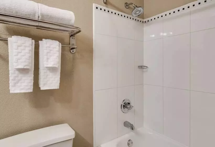 酒店 Best Western Gwinnett Center