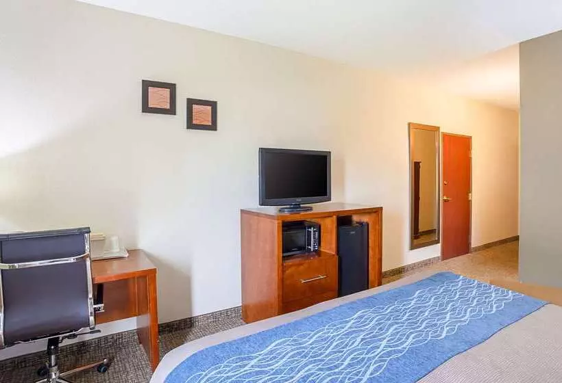 Отель Comfort Inn Lincoln I 80