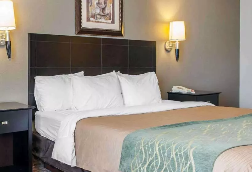 Отель Comfort Inn Near Ouabache State Park