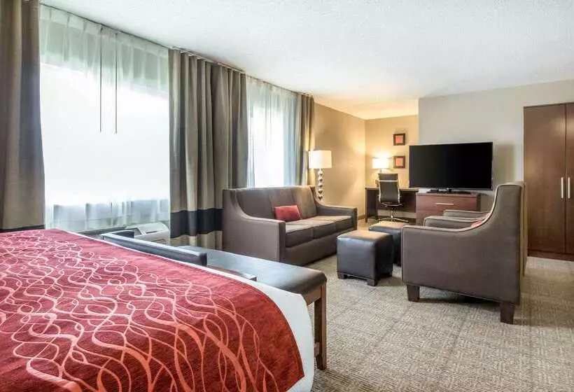 ホテル Comfort Inn Ottawa Starved Rock Area
