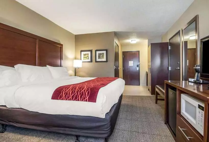 ホテル Comfort Inn Ottawa Starved Rock Area