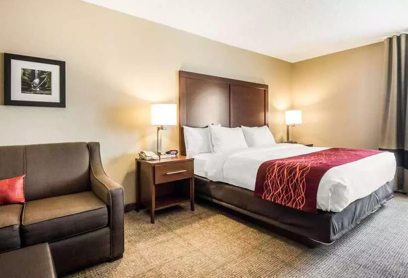ホテル Comfort Inn Ottawa Starved Rock Area