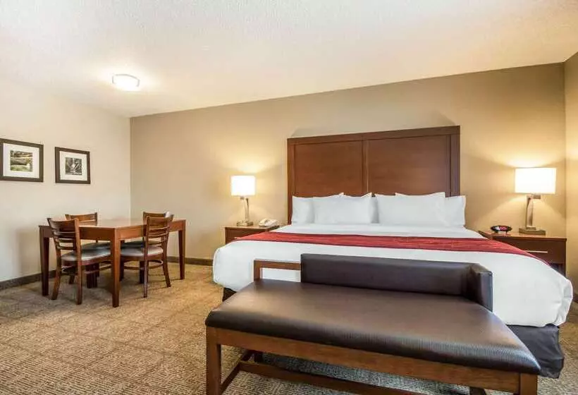ホテル Comfort Inn Ottawa Starved Rock Area
