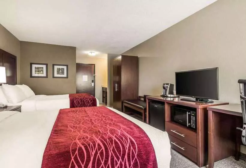 ホテル Comfort Inn Ottawa Starved Rock Area