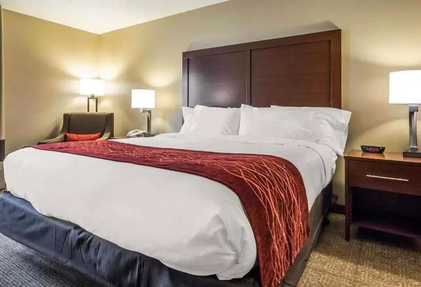ホテル Comfort Inn Ottawa Starved Rock Area