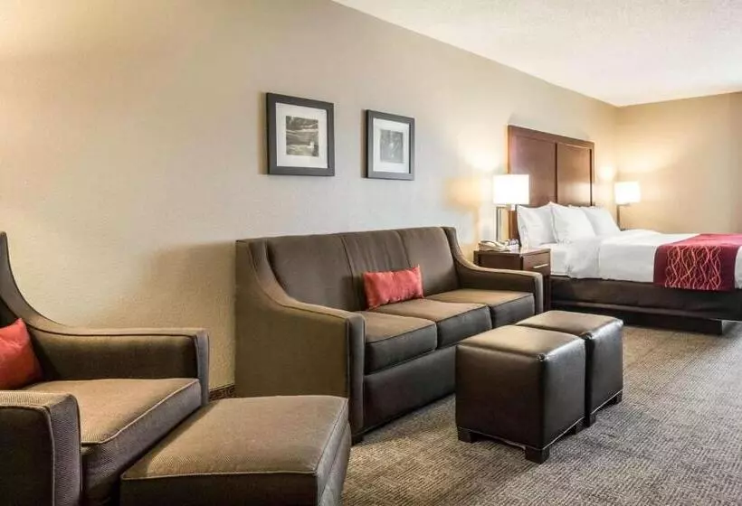 ホテル Comfort Inn Ottawa Starved Rock Area