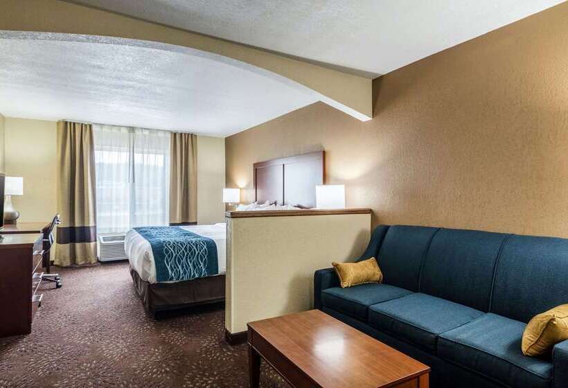 ホテル Comfort Inn & Suites  Hannibal