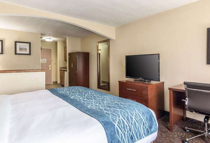 ホテル Comfort Inn & Suites  Hannibal