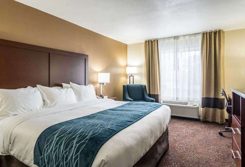 ホテル Comfort Inn & Suites  Hannibal