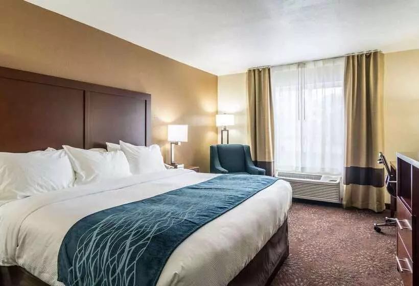 호텔 Comfort Inn & Suites  Hannibal