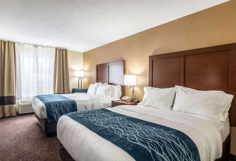 ホテル Comfort Inn & Suites  Hannibal