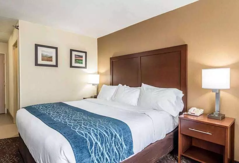 호텔 Comfort Inn & Suites  Hannibal