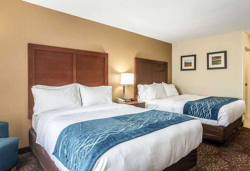 ホテル Comfort Inn & Suites  Hannibal