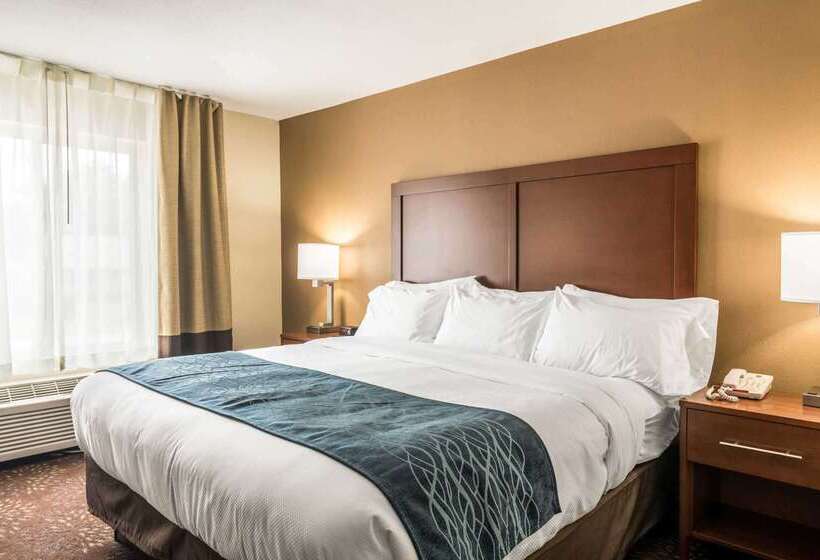 ホテル Comfort Inn & Suites  Hannibal