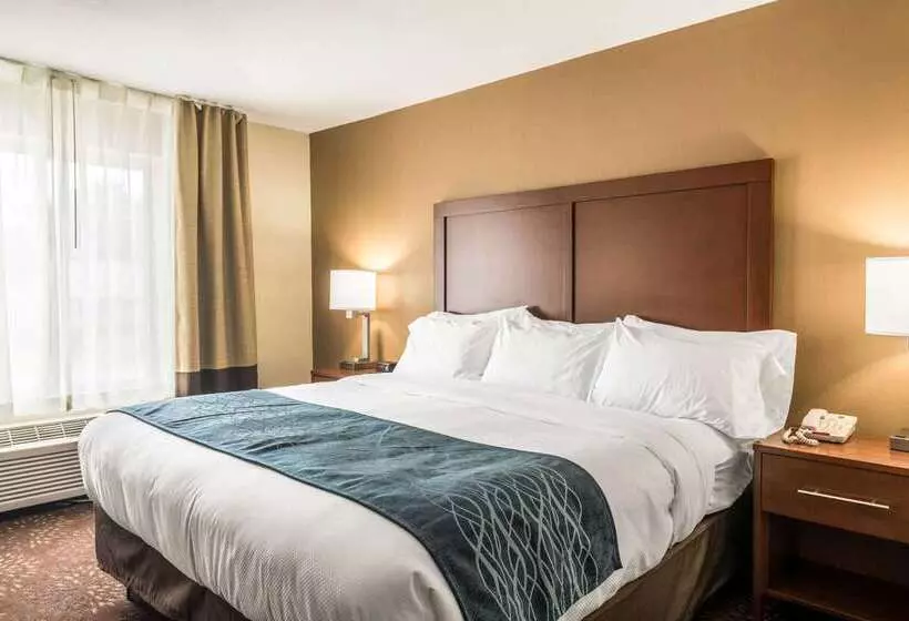 호텔 Comfort Inn & Suites  Hannibal