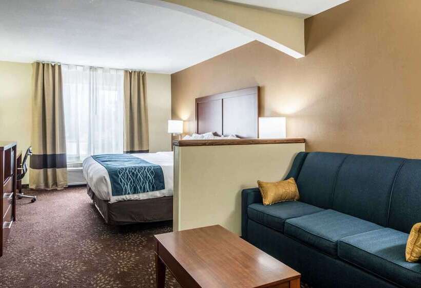 ホテル Comfort Inn & Suites  Hannibal