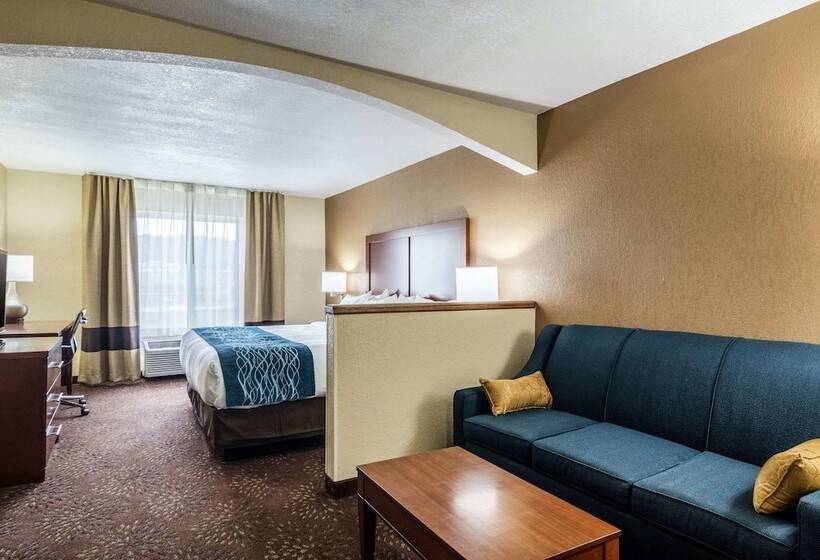ホテル Comfort Inn & Suites  Hannibal