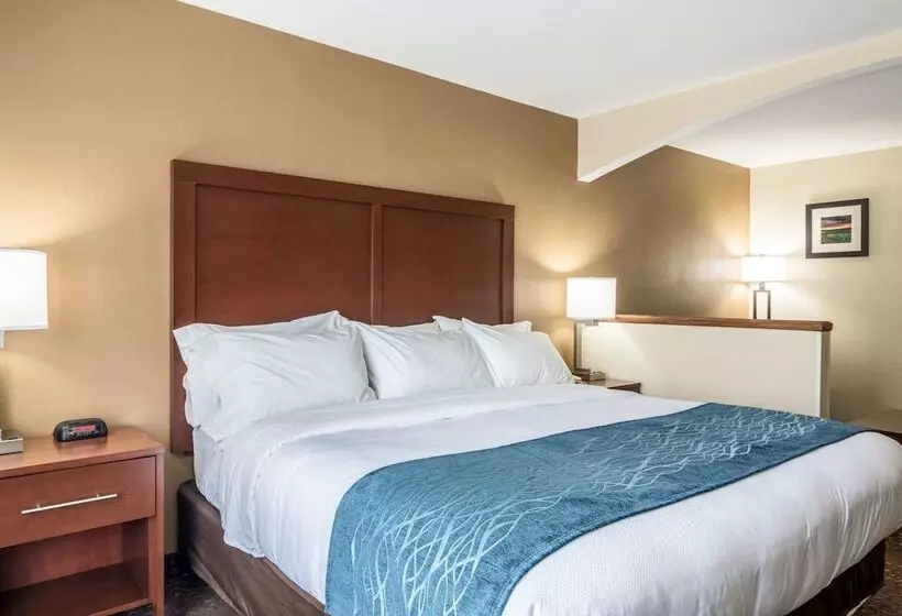 호텔 Comfort Inn & Suites  Hannibal