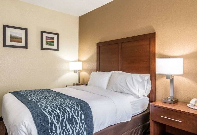 ホテル Comfort Inn & Suites  Hannibal