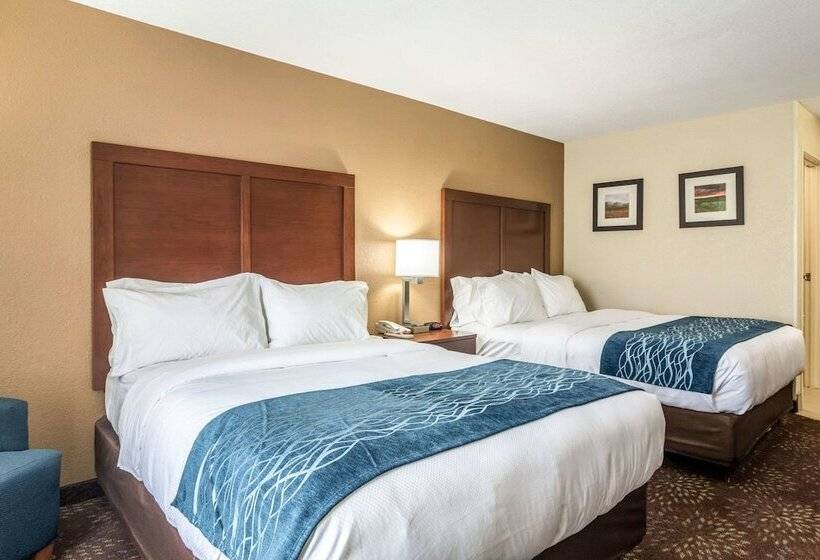 ホテル Comfort Inn & Suites  Hannibal
