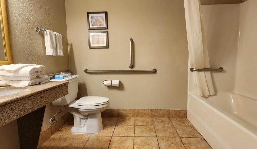 酒店 Comfort Inn & Suites