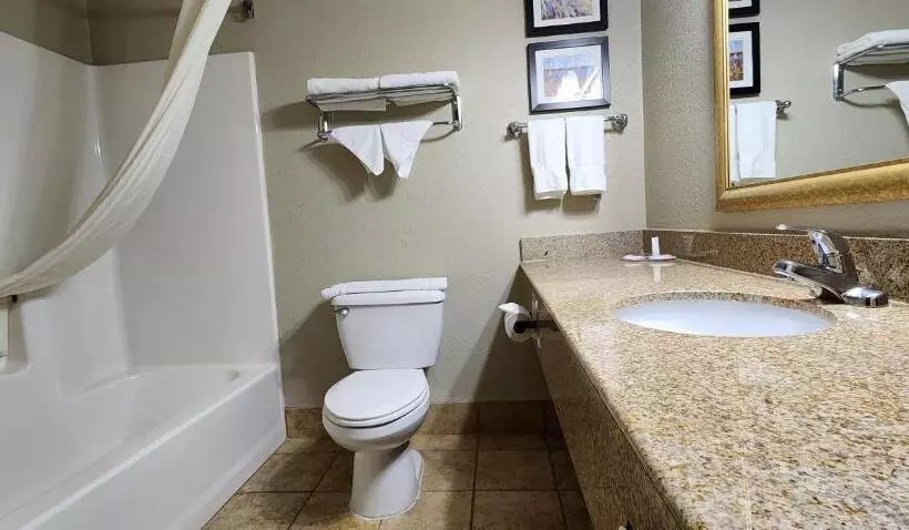 酒店 Comfort Inn & Suites