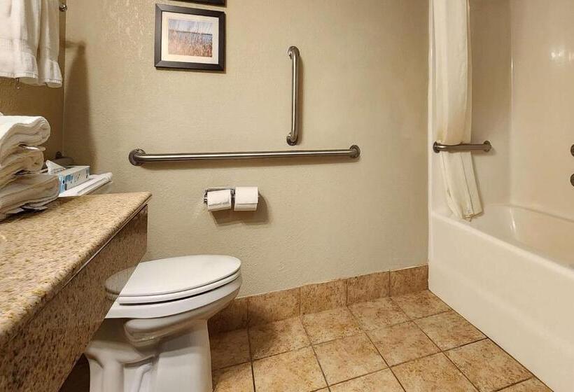 酒店 Comfort Inn & Suites