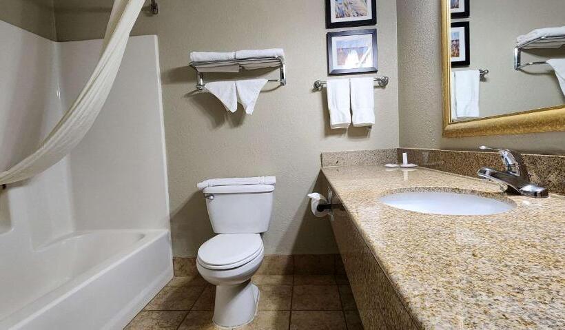 酒店 Comfort Inn & Suites