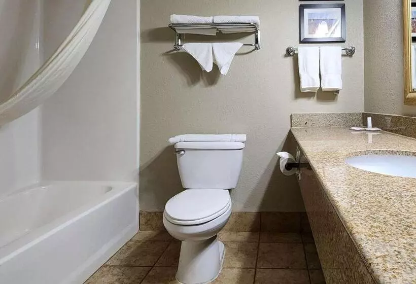 酒店 Comfort Inn & Suites