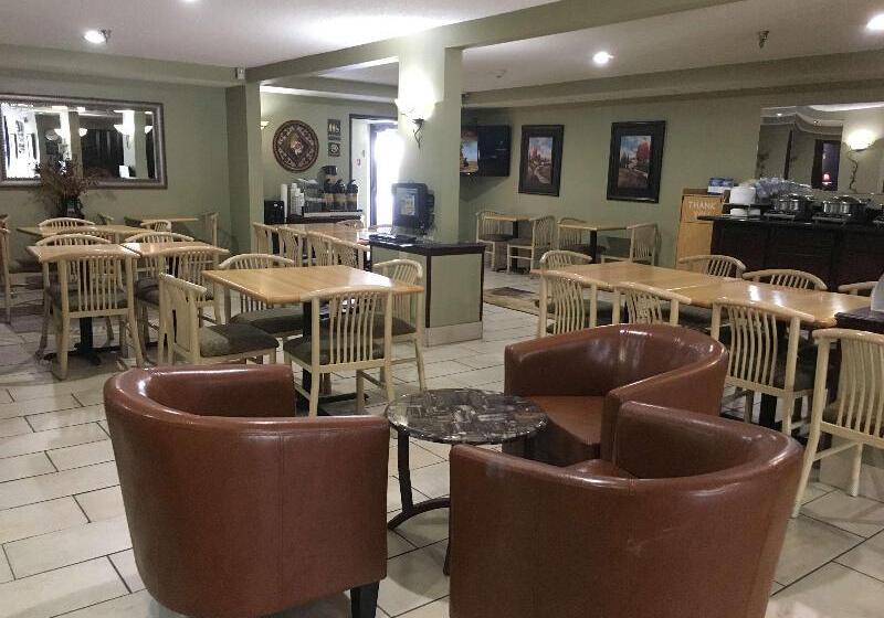 酒店 Comfort Inn & Suites