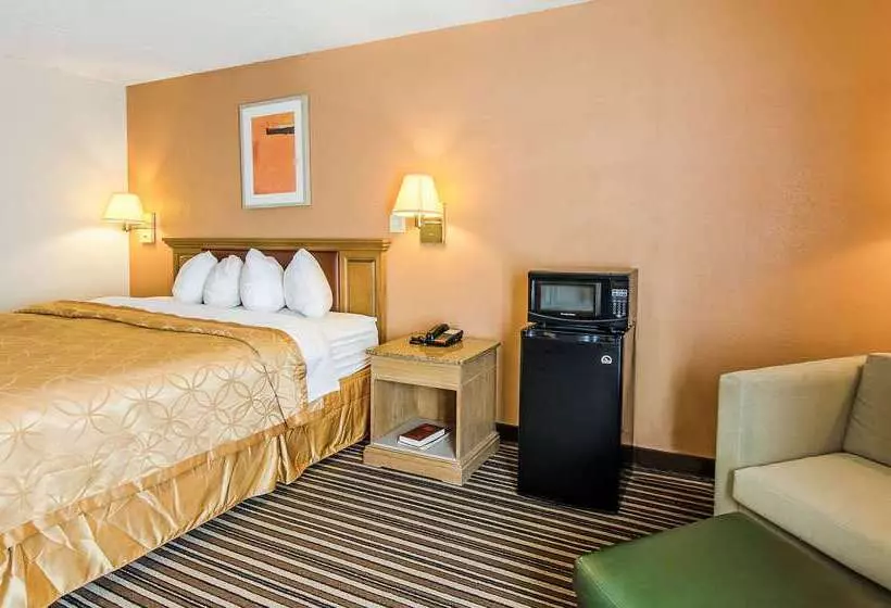 酒店 Econo Lodge Inn & Suites