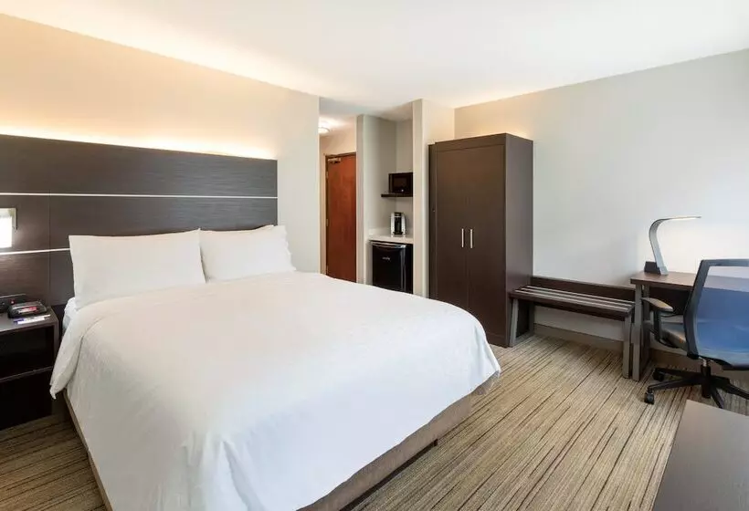 Holiday Inn Express Hotel & Suites Minneapolis Downtown Convention Center, An Ihg