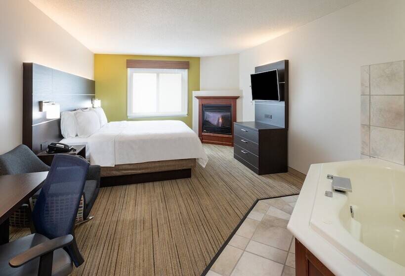 Holiday Inn Express Hotel & Suites Minneapolis Downtown Convention Center, An Ihg