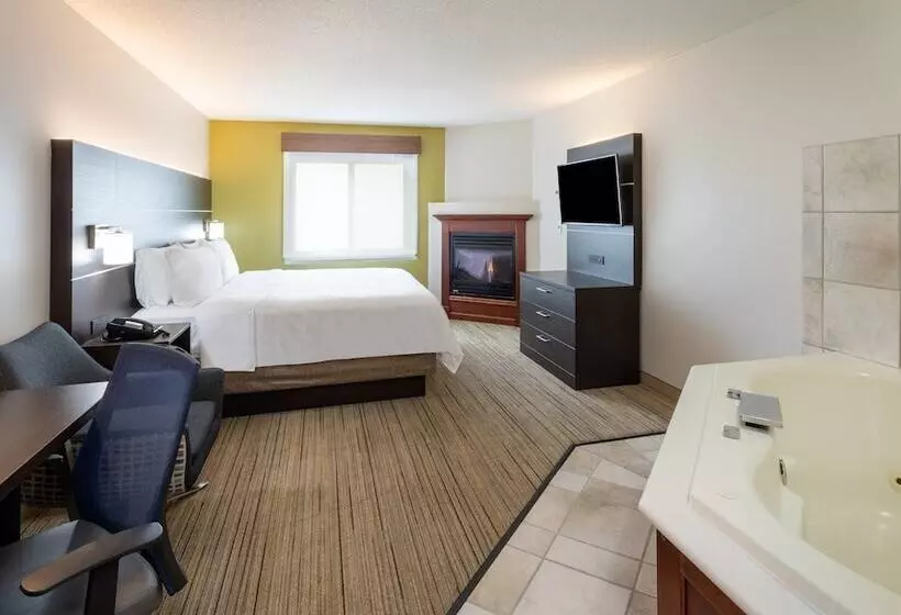 Holiday Inn Express Hotel & Suites Minneapolis Downtown Convention Center, An Ihg