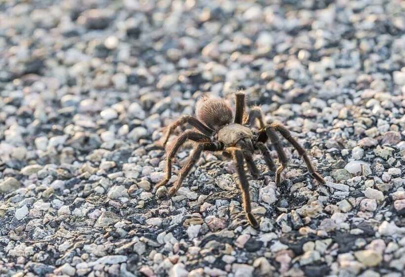 فندق Holiday Inn Express La Junta, An Ihg