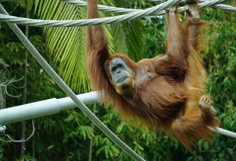 هتل Holiday Inn Express San Diego Sea World Area, An Ihg