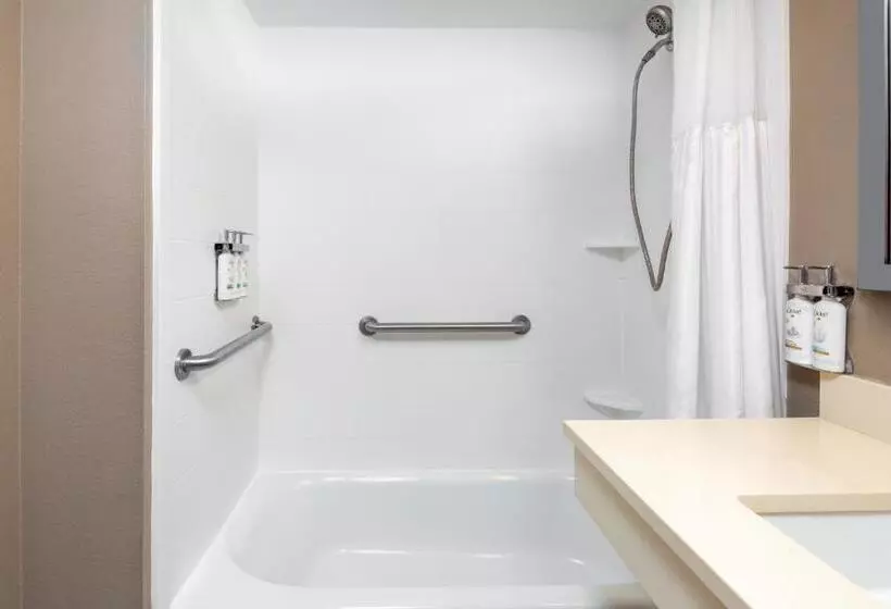 בית מלון כפרי Holiday Inn Miamidoral Area, An Ihg