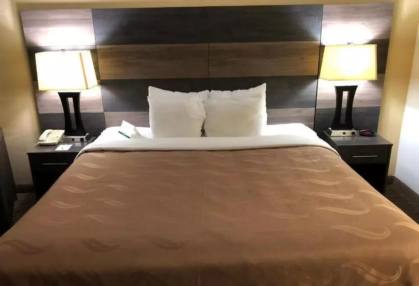 ホテル Quality Inn Bennettsville