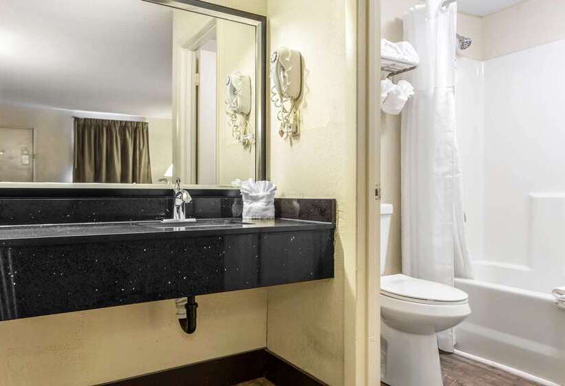 Hotel Quality Inn Goose Creek  Charleston