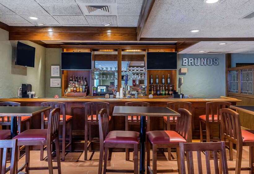 Отель Quality Inn