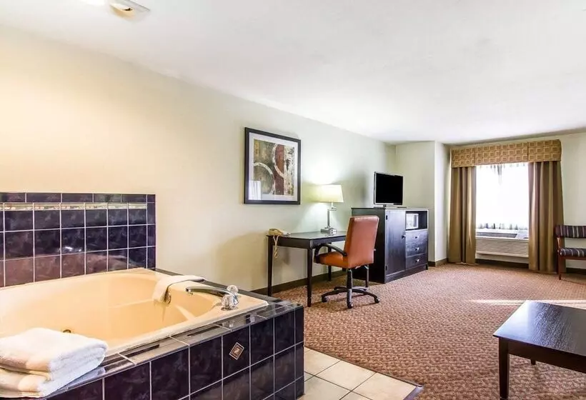 ホテル Quality Inn