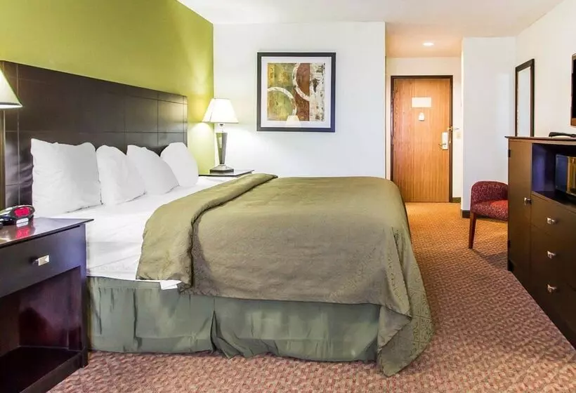 ホテル Quality Inn