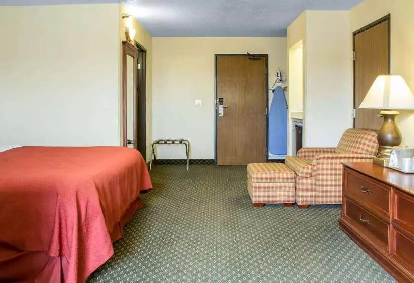 酒店 Quality Inn & Suites