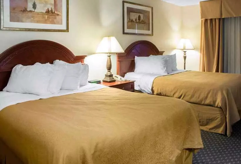 酒店 Quality Inn & Suites