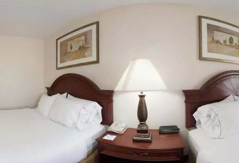 酒店 Quality Inn & Suites