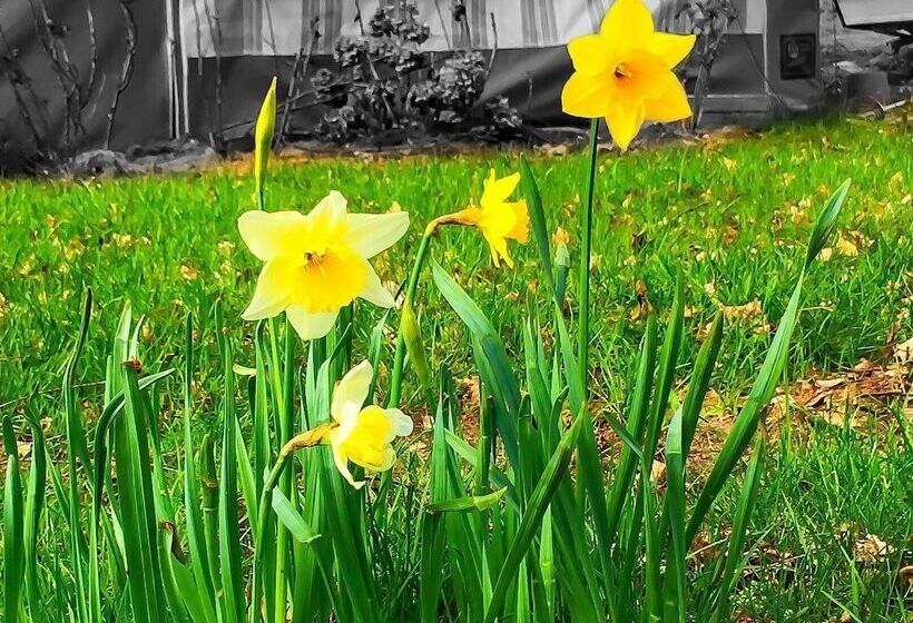 ホテル Campingplatz Bad Stuer