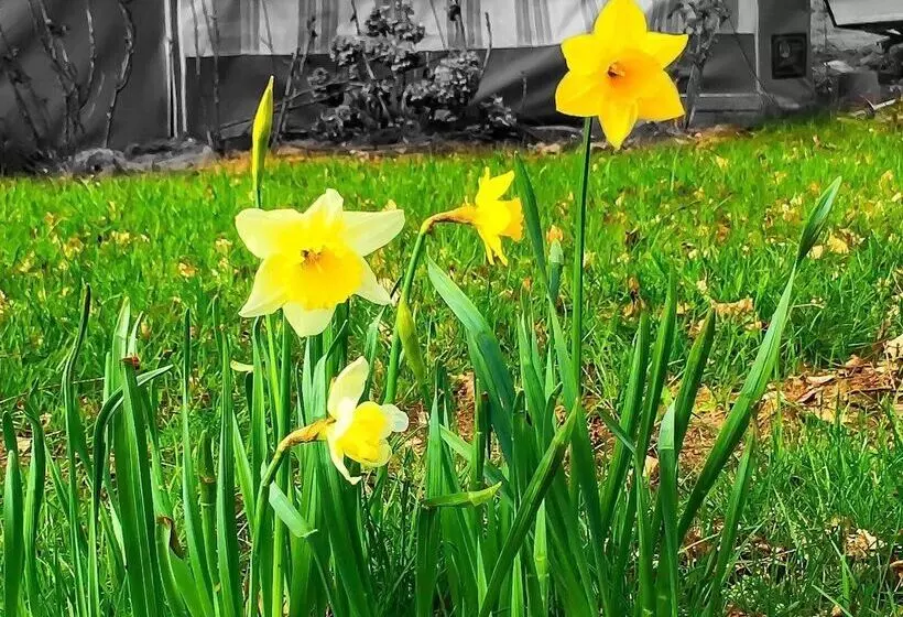 Hotelli Campingplatz Bad Stuer