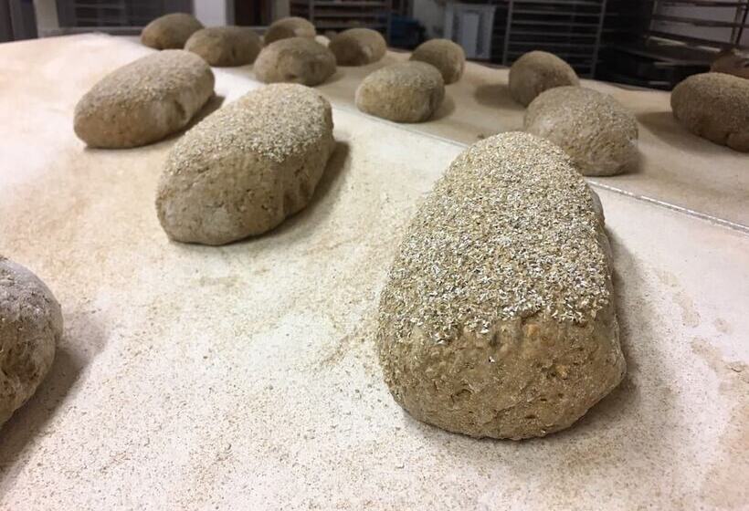 ホテル Campingplatz Bad Stuer