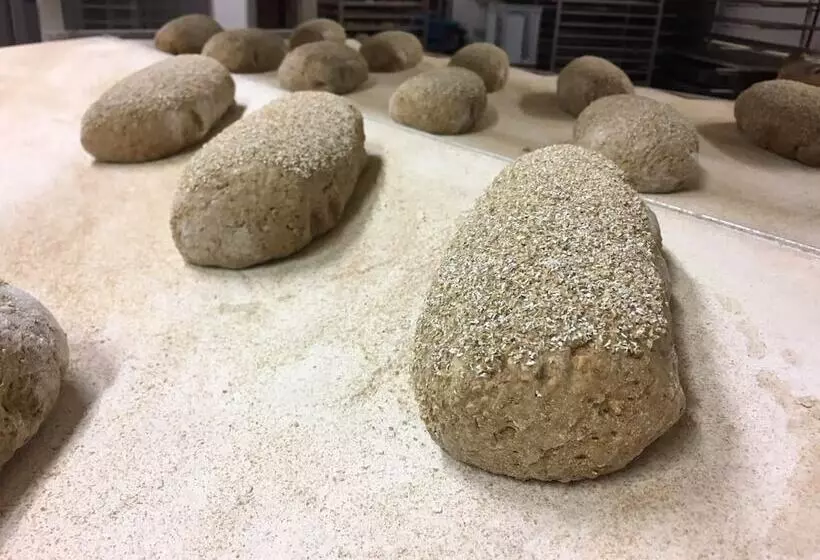 Hotelli Campingplatz Bad Stuer